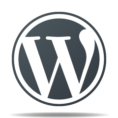 WordPress Kompetenz